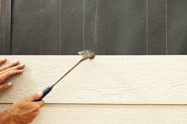 Best Historical Building Siding Restoration  in Charlestown, IN